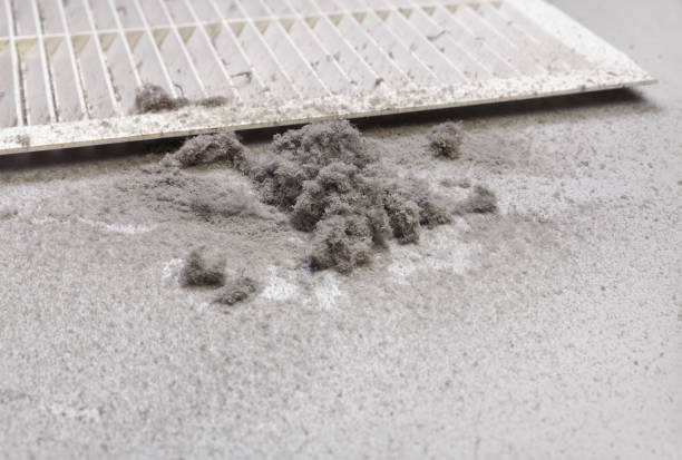 Best Residential Air Duct Cleaning  in Jenison, MI